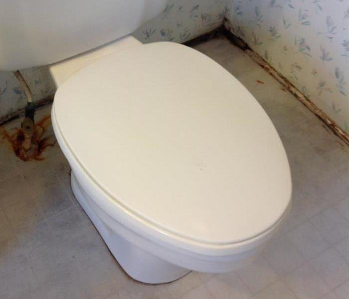 Toilet very dirty from sewage backup
