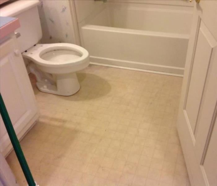Cleaned and restored toilet after a sewage backup