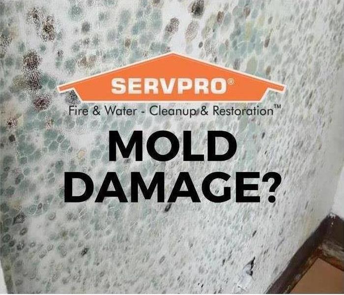 Mold Damage with SERVPRO logo