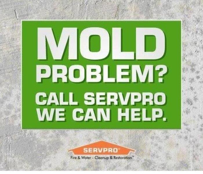 Area affected by mold with a SERVPRO logo