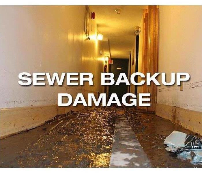 Sewage Backup in a hallway
