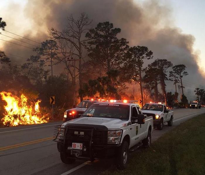 Florida Forest Service Fire Department Trucks Fighting a Wildfire in Florida